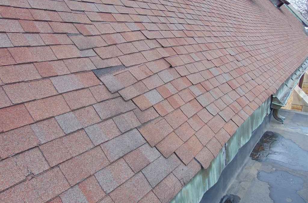 The Most Common Spring Roofing Problems in Westminster (And What to Do About Them)
