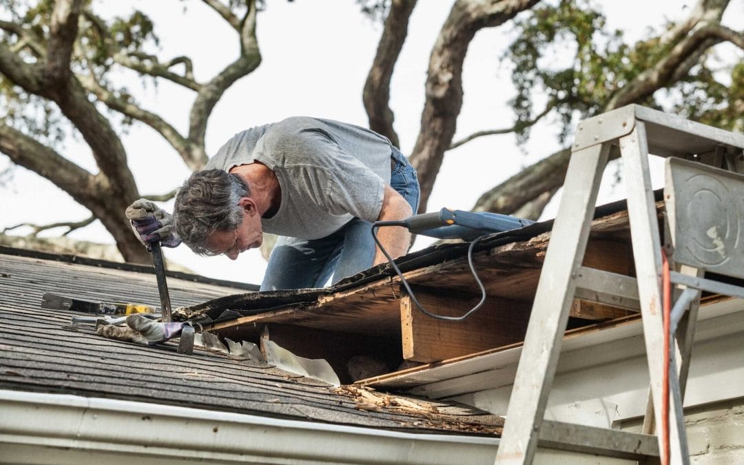 Surviving the Storm: 6 Roof Protection Tips from Thornton Experts